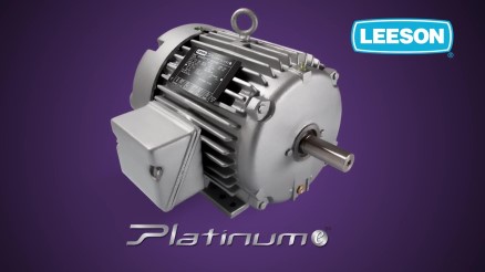 Leeson Platinum e Motors